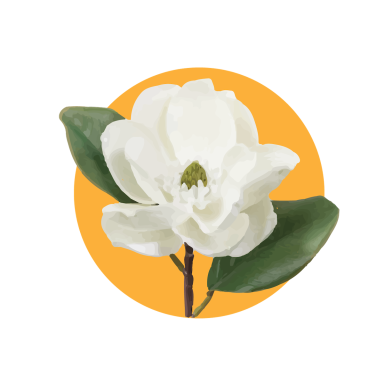 The Nature School avatar