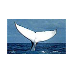 Betty Ann Monday avatar