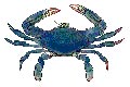 Kevinburk26 avatar