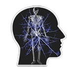 The ExPharmacist avatar