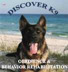 Discover K9 avatar