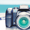 BeachBumWannaB avatar
