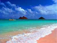 luvthebeach57 avatar
