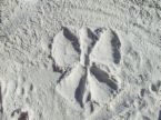 Sand Angel avatar