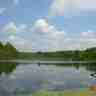 Shockleysprings avatar