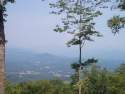 Mountaintopgirl avatar