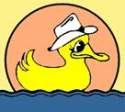 Pool Pal avatar